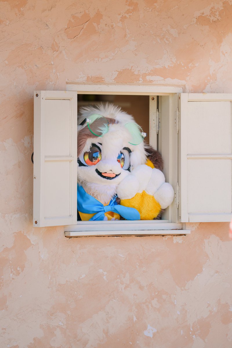 까꿍~!!

#FursuitFriday #Fursuit #Boreum