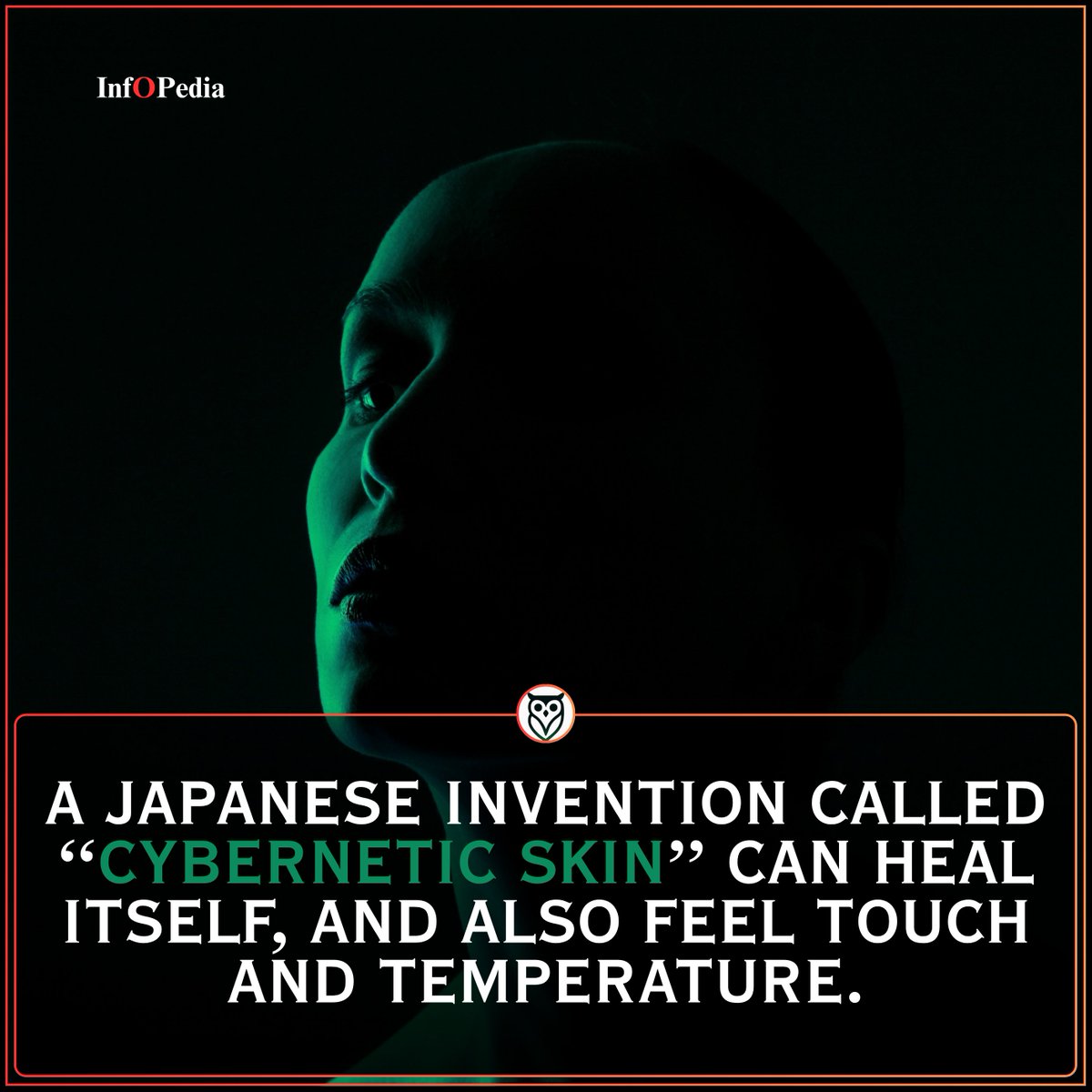 Inf⭕️Pedia tweet media