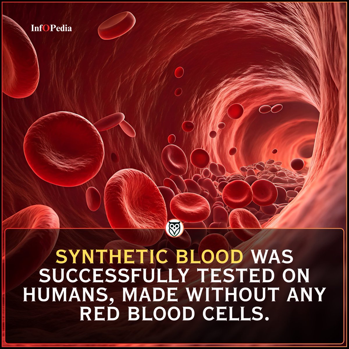 Inf⭕️Pedia tweet media