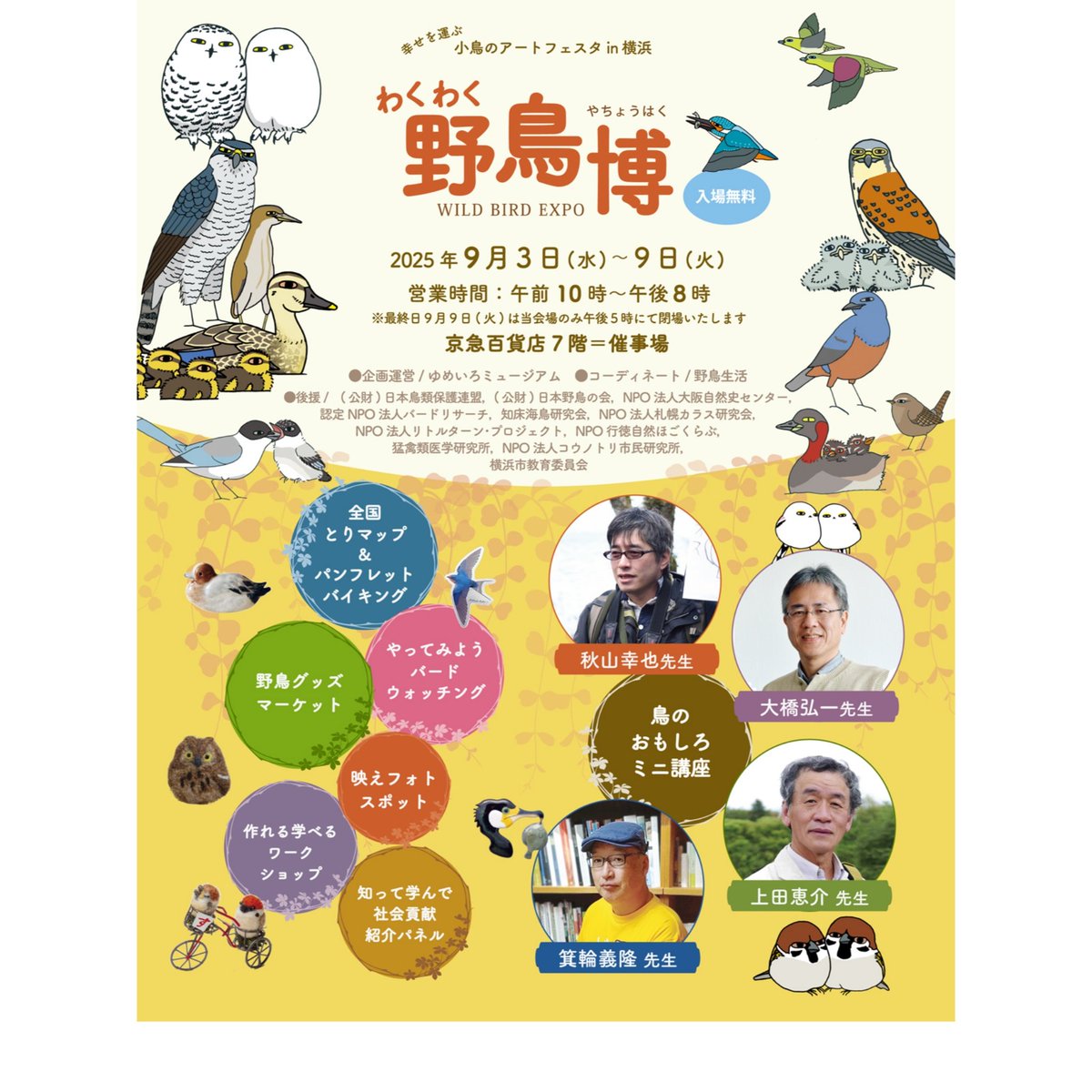 七宝ブローチのオオワシの飛翔スタイル完成。冬の北海道では、正にこんな感じで飛び交います。
9月3日からの #わくわく野鳥博 in横浜（京急百貨店）へ送り出す予定です。
#オオワシ #stellers_sea_eagle 
#七宝焼 #野鳥ブローチ #七宝焼ブローチ