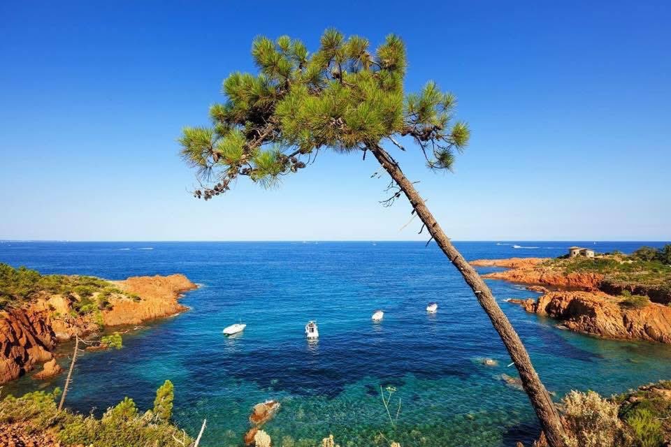 Go where you feel most alive  💙 #JeudiPhoto #Esterel