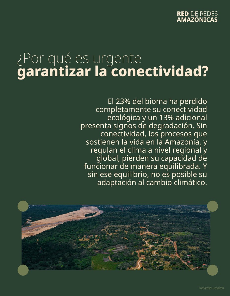 aguasamazonicas's tweet photo. 1/ La conectividad ecosistémica 🌳💧, social y cultural  es la columna vertebral del equilibrio amazónico.

Mantener y restaurar la conectividad es el primer punto de impacto que plantea el #PactoPanamazónicoPorElClima a los 8 países de la OTCA @OTCAnews. https://t.co/PwiWjoKF7X