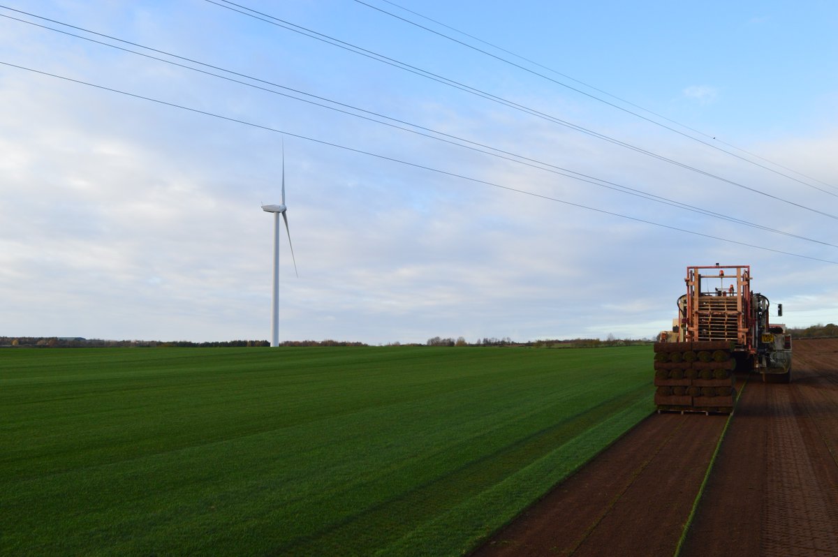 Turf is able to be harvested all year round, including in the summer months. If you want to discuss a new lawn give us a call on 01932 860 760 ☎️. Alternatively you can get an instant quotation from our webpage. 

#SummerLawn #LawnMaintenance #GardenDesign #Landscaping