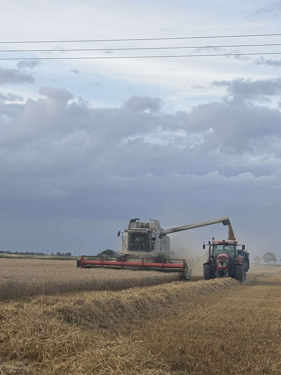 Spring barley all done into some champion wheat on some of my heaviest land here at Rowells , coming of at a good 9t ha if not a bit more long may it continue , pictures courtesy of meals on wheels keeping us fed #harvest25 #farm24