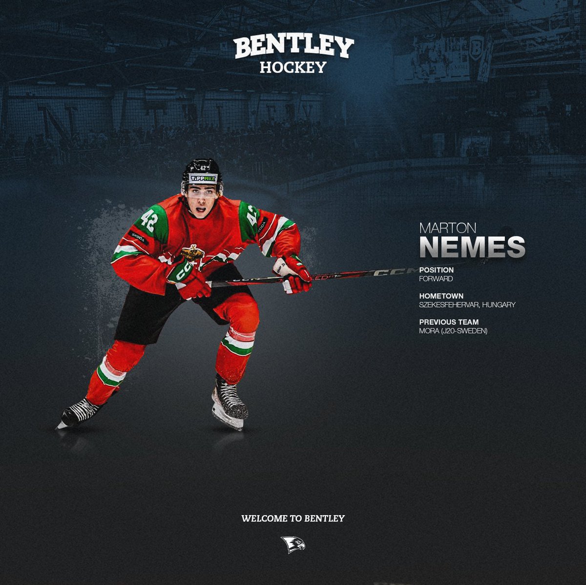 Welcome aboard Marton Nemes!

Marton is the first Hungarian player in program history. An experienced international player, he suited up in Sweden’s J20 Nationell league for two seasons and represented Hungary’s national teams at several different age groups.