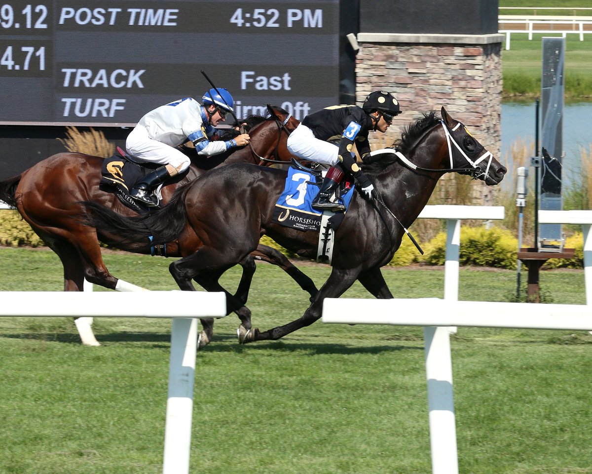 John G. Dooley (@johngdooley) on Twitter photo .<a href="/JockeyJoeRamos/">Joe Ramos</a> seeing green! Won three of the four turf races on Thursday <a href="/HSIndyRacing/">Horseshoe Indianapolis Race Course</a> after FOUR TOP ($4.60) tracked down MEMPHIS PHAROAH in the Turf Mile for <a href="/trainerMMaker/">Mike Maker</a> and Paradise Farms Corp. A native of Puerto Rico, Ramos captured the IND riding title in 2023 with 109 .<a href="/JockeyJoeRamos/">Joe Ramos</a> seeing green! Won three of the four turf races on Thursday <a href="/HSIndyRacing/">Horseshoe Indianapolis Race Course</a> after FOUR TOP ($4.60) tracked down MEMPHIS PHAROAH in the Turf Mile for <a href="/trainerMMaker/">Mike Maker</a> and Paradise Farms Corp. A native of Puerto Rico, Ramos captured the IND riding title in 2023 with 109