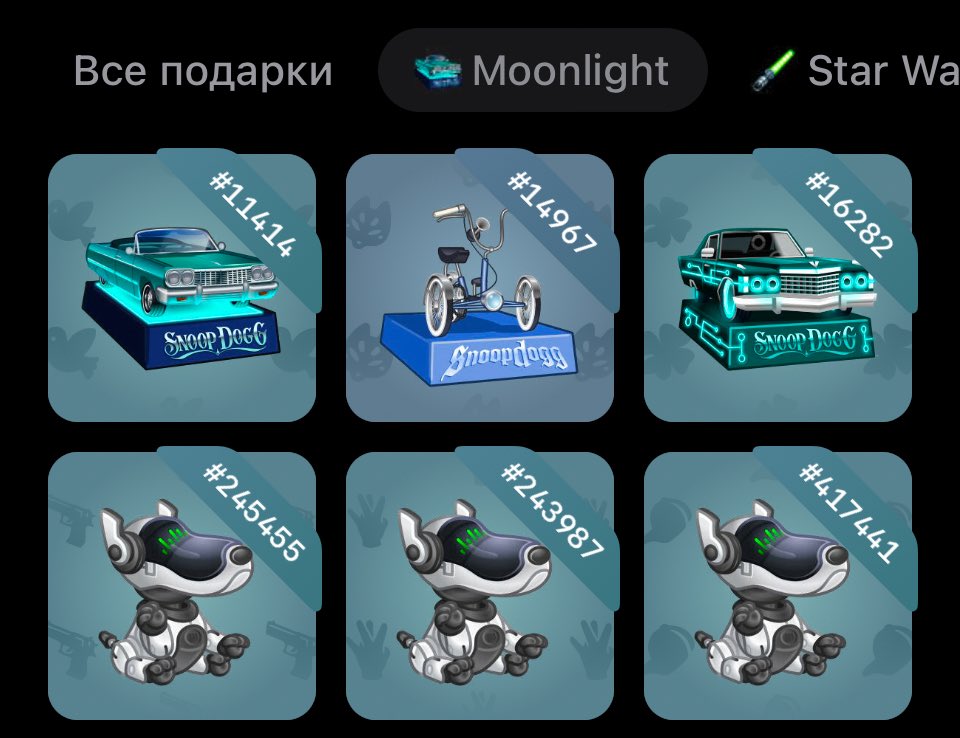 Winnie 🐈✨ tweet media