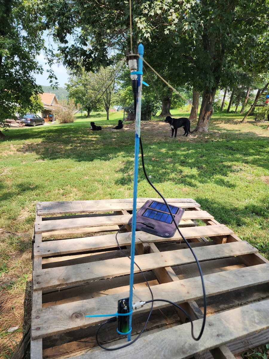 Ryan Woods tweet media