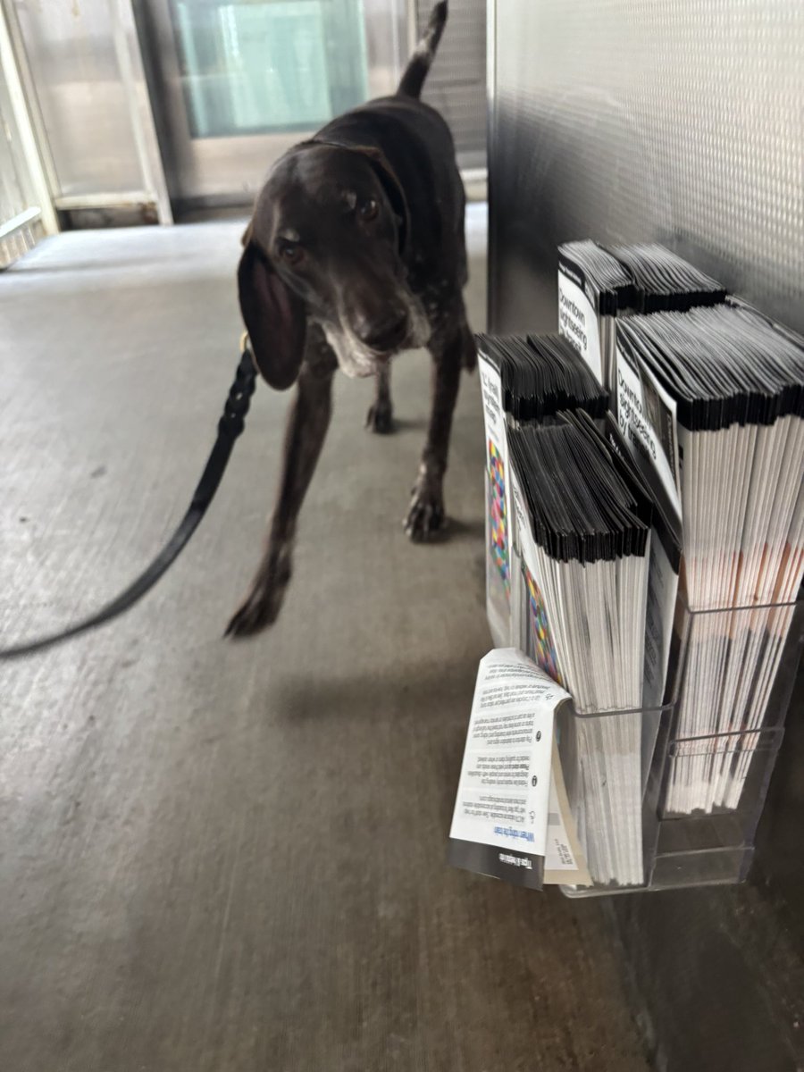 CPD_Transit (@cpdtransit) on Twitter photo Canine Officers at the Washington and Wabash elevated station. <a href="/CPD_BCT/">CPDCounterterrorism</a> <a href="/Chicago_Police/">Chicago Police</a> Canine Officers at the Washington and Wabash elevated station. <a href="/CPD_BCT/">CPDCounterterrorism</a> <a href="/Chicago_Police/">Chicago Police</a>