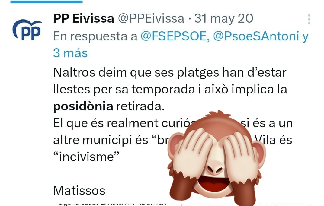 Elena (@elelopez77) on Twitter photo <a href="/mgloriacj/">Gloria</a> <a href="/Sousa__R/">Rubén Sousa</a> <a href="/oscarpiset/">Oscar Torres</a> <a href="/ajeivissa/">Ajuntament d'Eivissa</a> Eso les da igual Gloria! Lo importante era decir que la posidonia era suciedad, que olía mal, y bla bla bla.
Ahora van de ecologistas, medioambientalistas y todos los -istas que te puedas imaginar, con tal de quedar bien. PPatéticos <a href="/mgloriacj/">Gloria</a> <a href="/Sousa__R/">Rubén Sousa</a> <a href="/oscarpiset/">Oscar Torres</a> <a href="/ajeivissa/">Ajuntament d'Eivissa</a> Eso les da igual Gloria! Lo importante era decir que la posidonia era suciedad, que olía mal, y bla bla bla.
Ahora van de ecologistas, medioambientalistas y todos los -istas que te puedas imaginar, con tal de quedar bien. PPatéticos