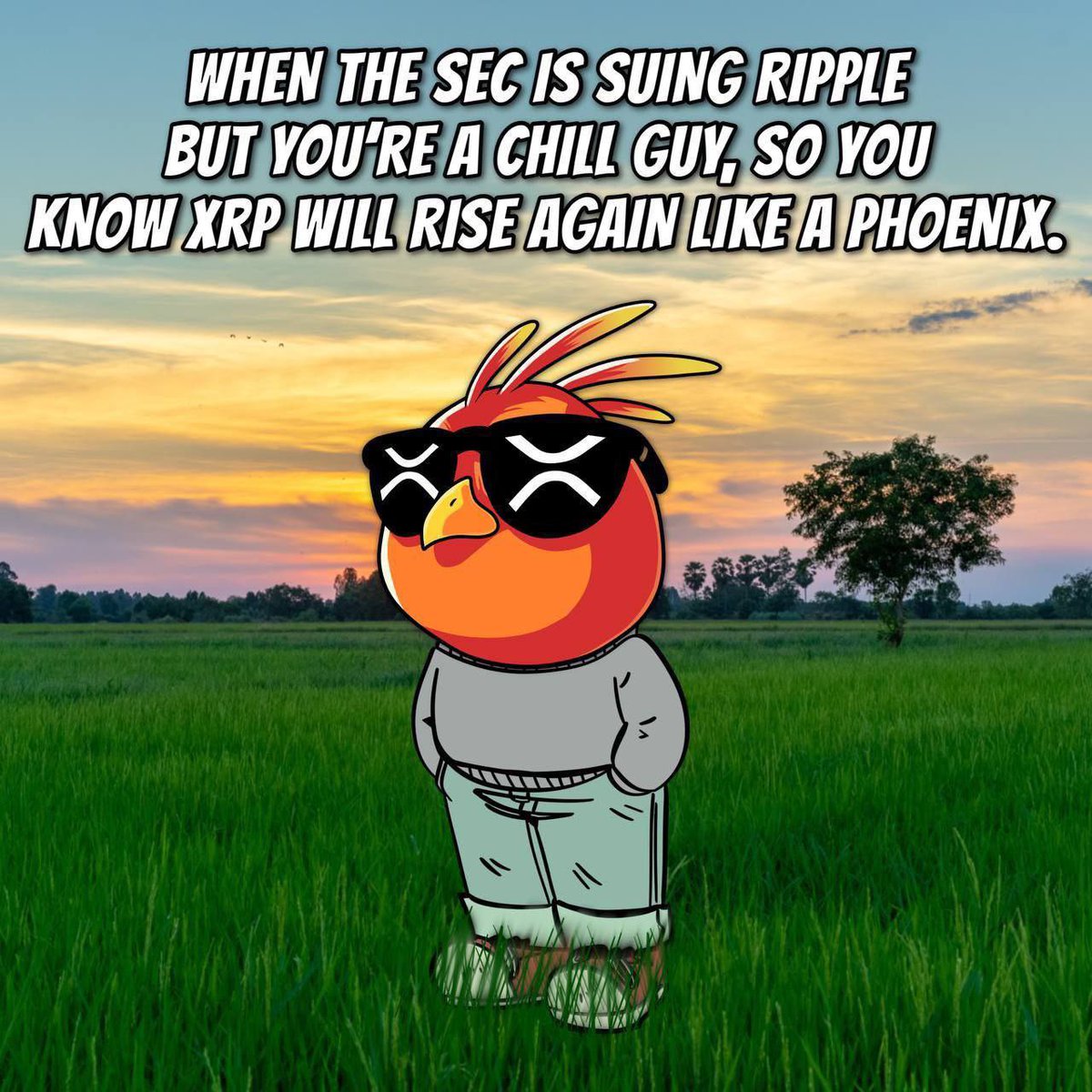 <a href="/WatcherGuru/">Watcher.Guru</a> The storm is over.

Now the real $XRP era begins.

XRP Family, are you ready for what comes next?