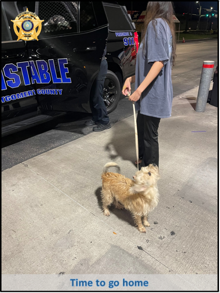 mocopct3's tweet photo. Constable Gable's patrol deputies were made aware of dogs lost in the Fox Run Subdivision around 3:45 AM on 8/7/2025. After checking multiple streets in the area, Deputy Mikeasky was able to locate the dogs and return them to their owner. Good job!!! #mcco3 #missingdog #foxrun https://t.co/rHojehSIU1