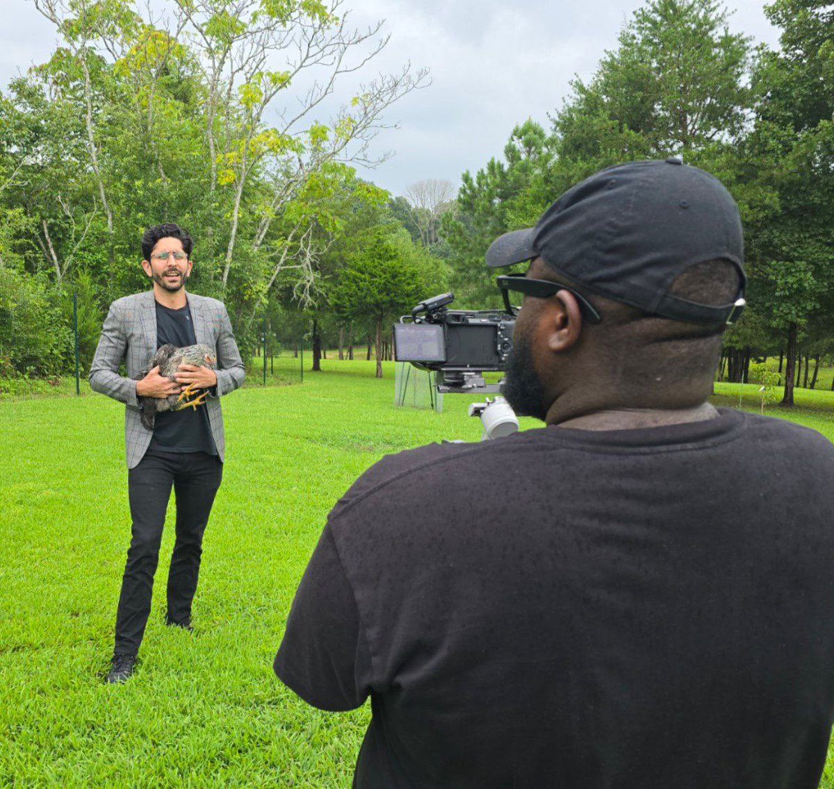 Diversification strategy:

50% Bitcoin
50% chicken
0% trust in fiat