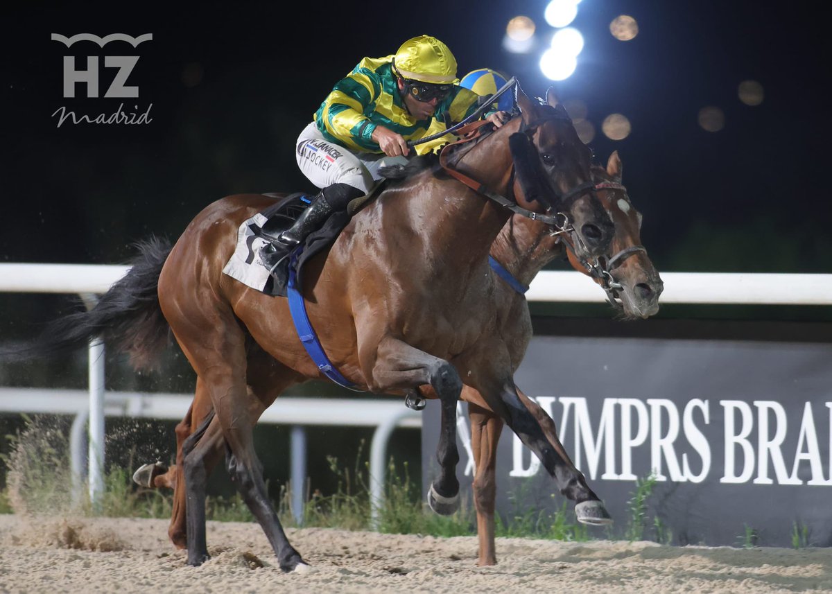 Orden definitivo de la segunda carrera, Premio Luis Saugar:

🥇 Wanderlust  
🥈 Mystified
🥉 Fuera Light