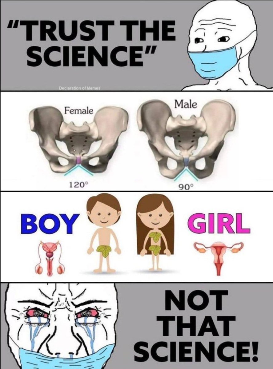 anonemoose25's tweet image. There are only two genders and you don&apos;t get to pick which one you are.
Period.