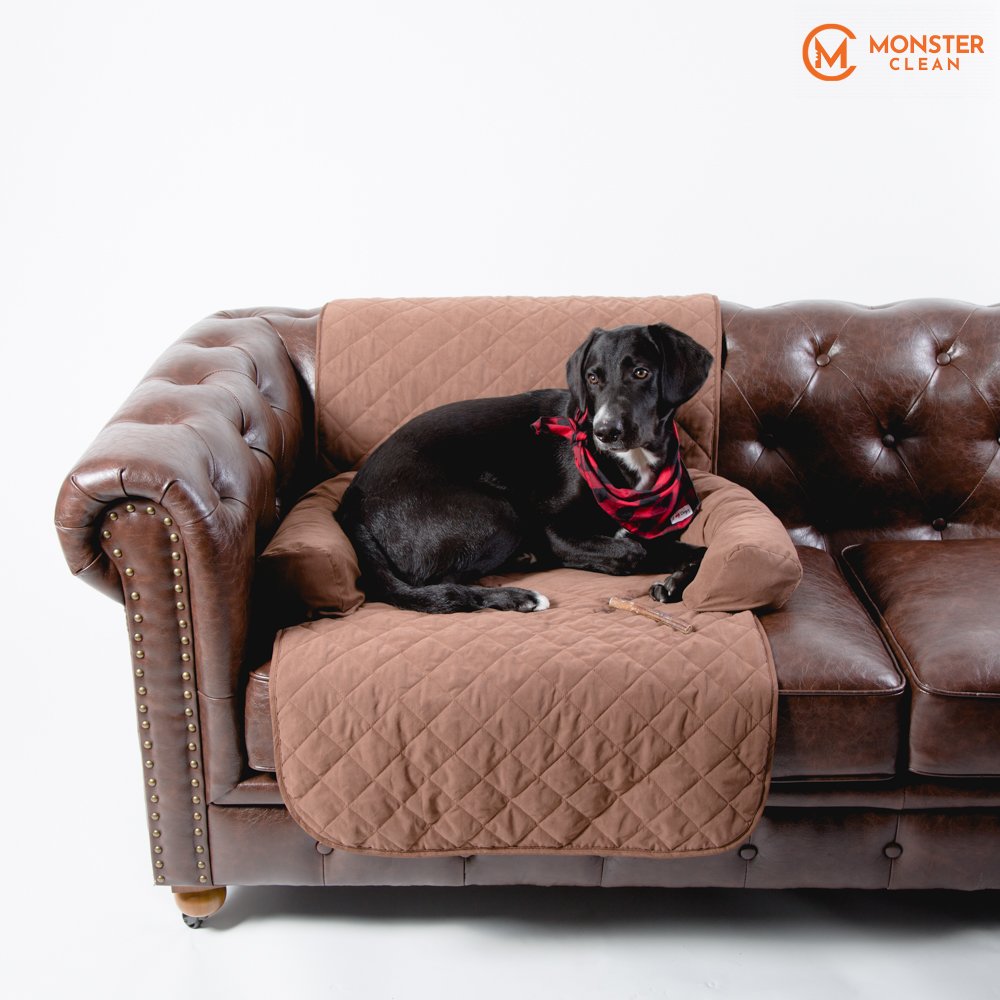 MonsterCleanVA's tweet image. Even before we bring home our pup, we make sure we have everything he needs to be happy. Leashes, treats, etc. Once you have the basics, though, what else can you do to make sure your dog feels like your house is truly his home?  via:   iheartdogs.com/?p=2257800