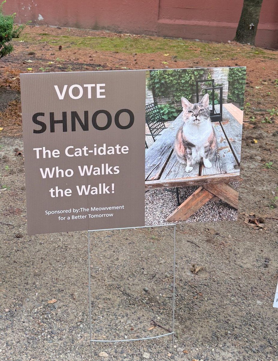 can we do a voter fraud so there is a 30 way tie