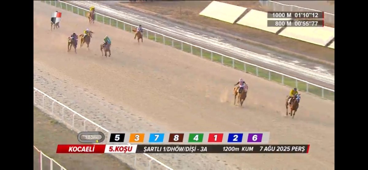 BAŞ HÜKÜMDAR Tayları kazanmaya devam ediyor🧿 Lalıbela (Baş Hükümdar-Kumsal) Kocaelide düzenlenen Şartlı-1 koşuyu uzak farkla rahat kazandı kazanan tayın ekibini tebrik eder Başarılarının devamını dileriz.