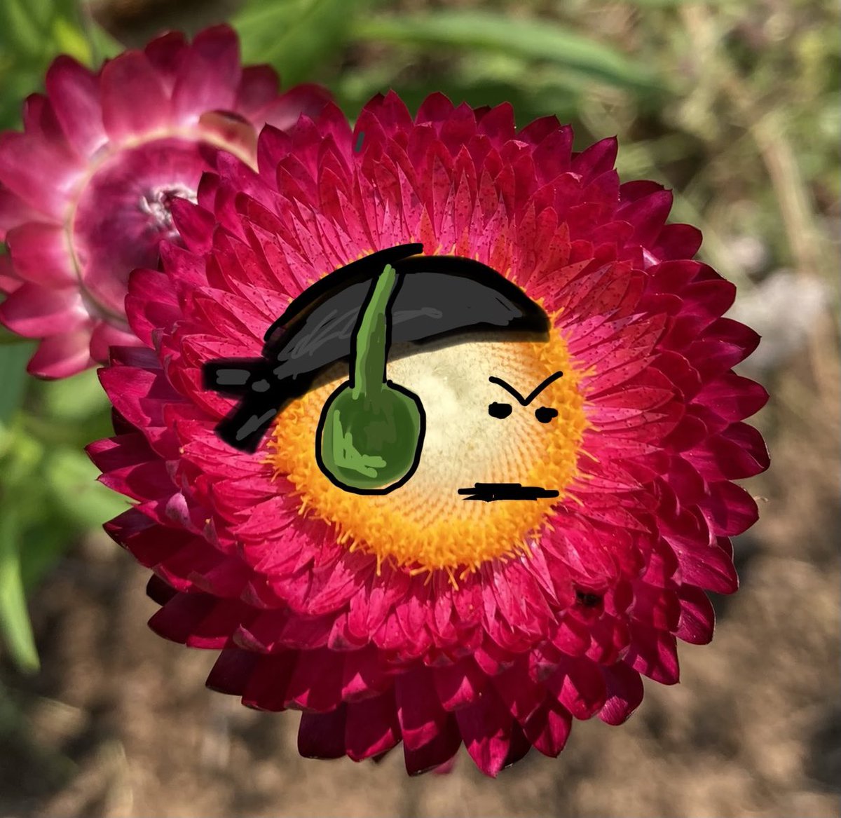 garden motherflowers 😤