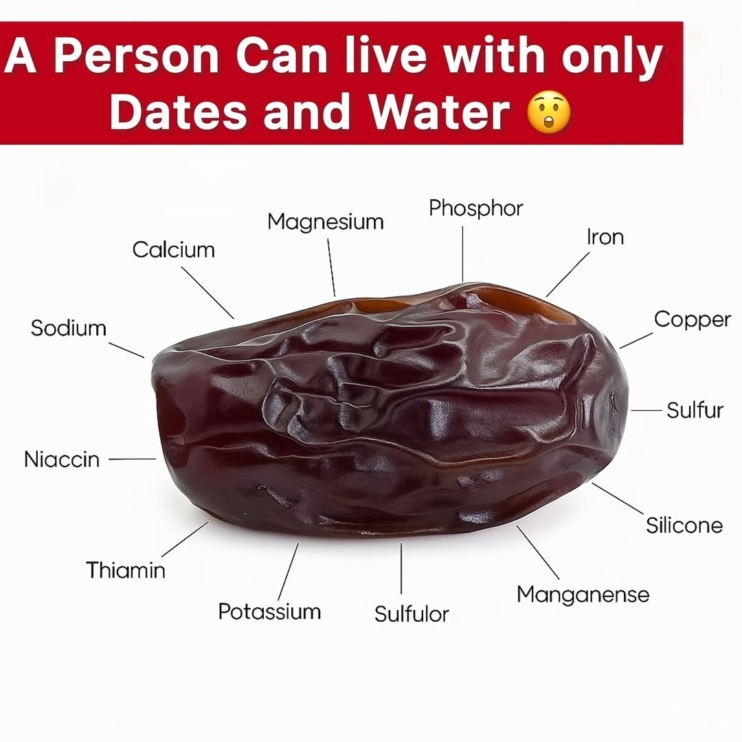 🌴 Dates: Nature’s Multivitamin &amp; Survival Fuel 🌟

Did you know? Dates are one of the most nutritionally rich fruits on Earth! 🍽️
Loaded with: ✅ Potassium, calcium, iron, magnesium &amp; phosphorus
✅ Vitamins like B1 (thiamin), B2 (riboflavin), and niacin
✅ Natural sugars