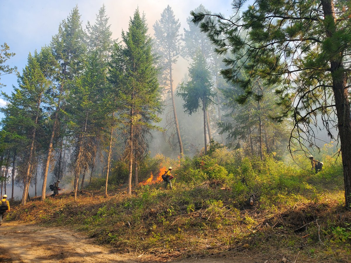 Despite cooler conditions across the region, it is still the middle of wildfire season and temperatures are expected to rise soon. Please stay vigilant, follow local fire restrictions and do your part to prevent any human-caused fires!

📸 Castle Rock Fire, NE Washington Fire