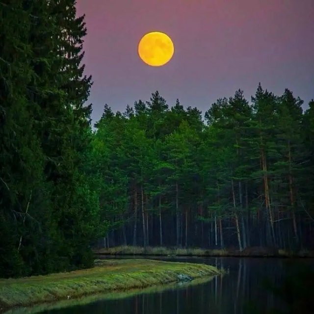 veskii4571's tweet photo. А день как миг, уж прожит безвозвратно, 
И всё что было в нём, уж мирно спит. 
И не вернуть ушедшее обратно, 
Пусть ночка мудрая покоем исцелит… 
/Зоя Карпова/ 

Доброй ночи… https://t.co/GHgBdepNB7