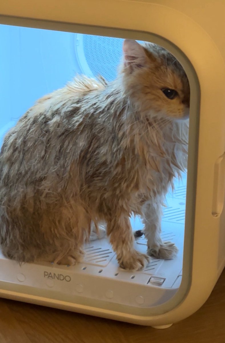 jiewliewnjiggo's tweet image. ล่าสุดดดดด โกดมากกกกก