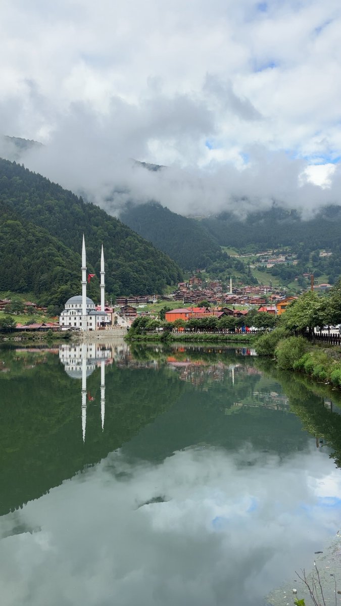 احياناً نبتعد عن الزحمة عشان نسمع أنفسنا ،
وكل ما ابتعدت بعدستي ، اقتربت من سكوني الداخلي 🤍