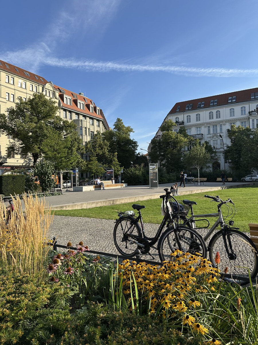 Steinplatz