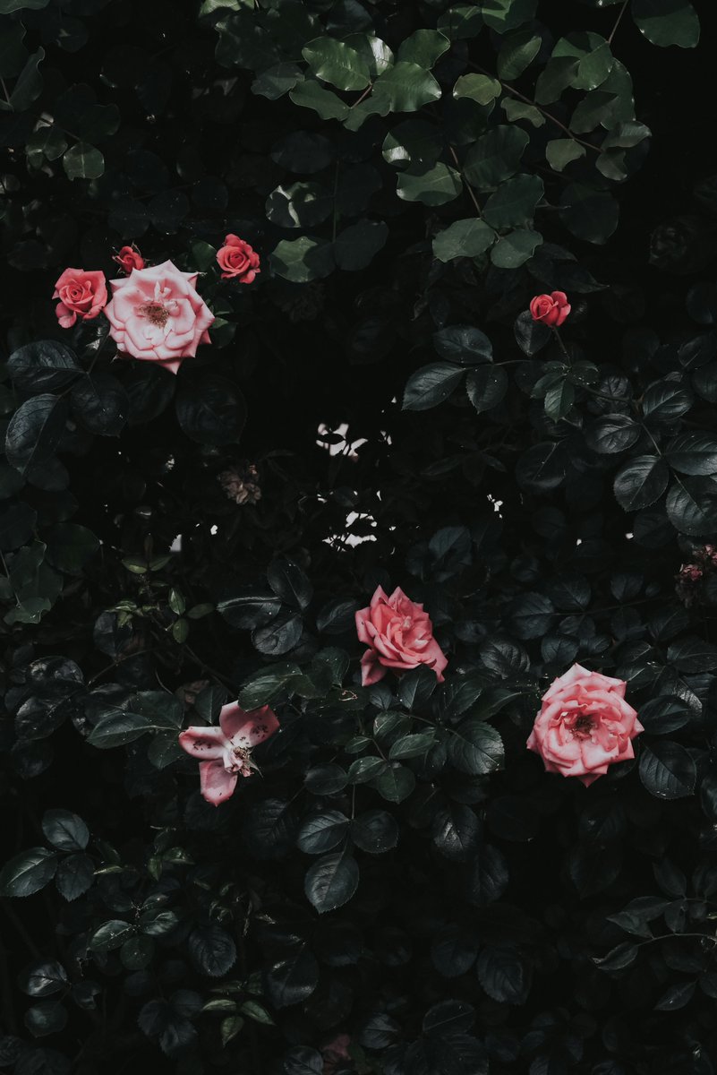 Termos2k's tweet image. Lost in the moment, found in the vibe.