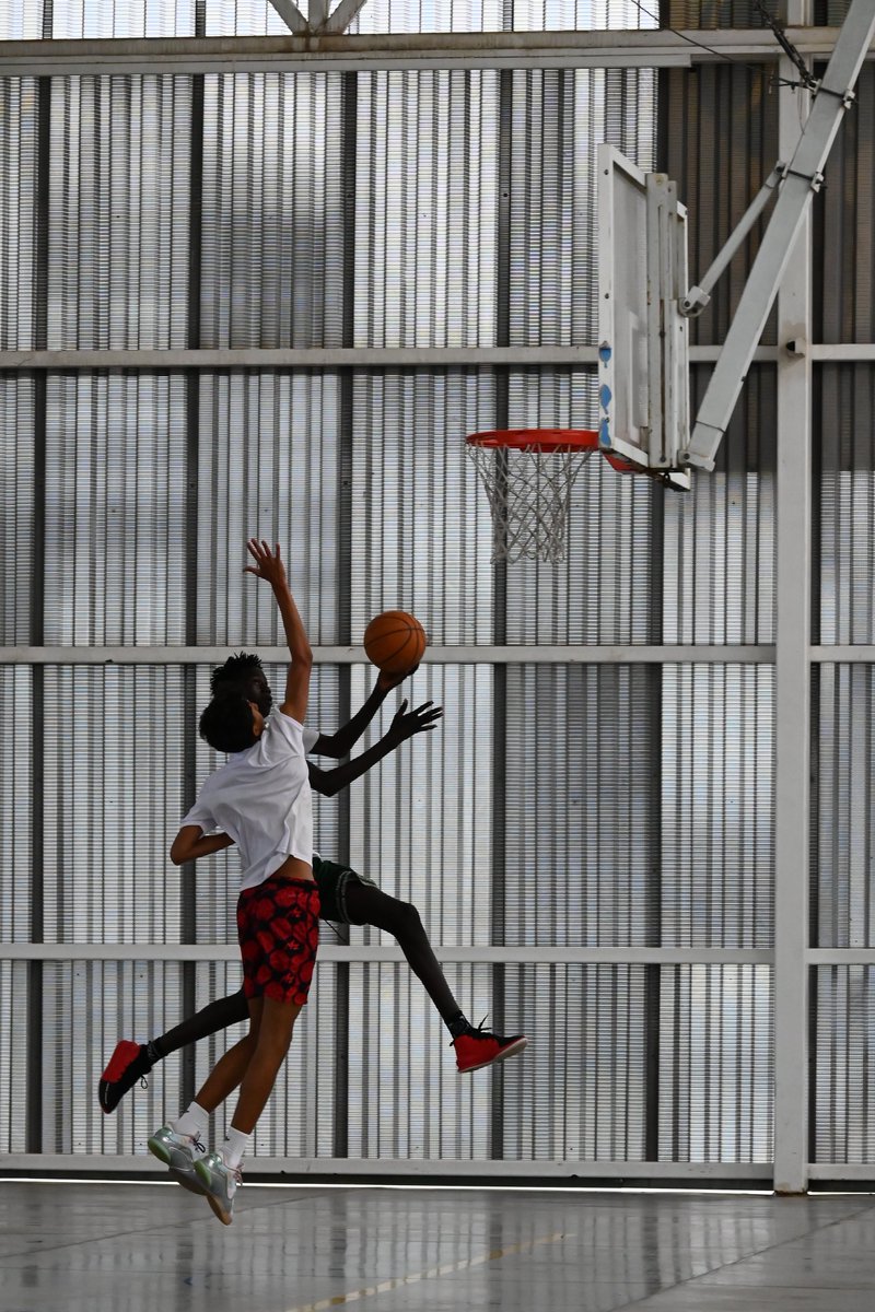 XLII Campus Internacional de Baloncesto 2025 🏀

Galería de 📸 del Turno 3 del XLII Campus Internacional de Baloncesto 2025 🏀👉🏼 flic.kr/s/aHBqjCpYod

📸 Pablo Hdez. Carpio

#DondeNacenLasEstrellas 🌠 #XLIICampusSantoDomingo 🏀 #FamiliaTigre #MásTigresQueNunca #123TIGRES 🐯