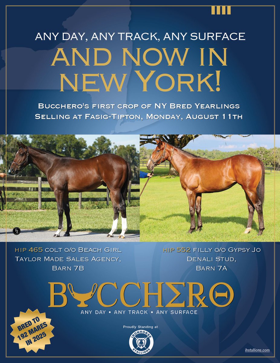If they can make it here.......

<a href="/FasigTiptonCo/">Fasig-Tipton</a> <a href="/nytbreeders/">NYTB</a> <a href="/TaylorMadeSales/">Taylor Made Farm</a> <a href="/DenaliStud/">Denali Stud</a>