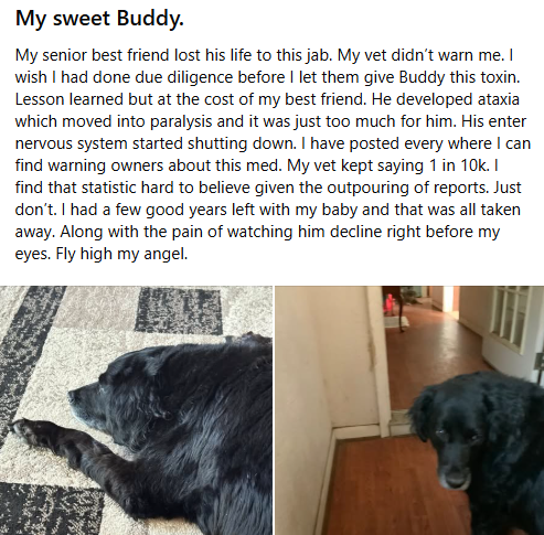 badpetmeds's tweet photo. The grief is real. RIP Buddy. 🌈💔😢
#Librela #SayNoToLibrela https://t.co/obtHEx17J3