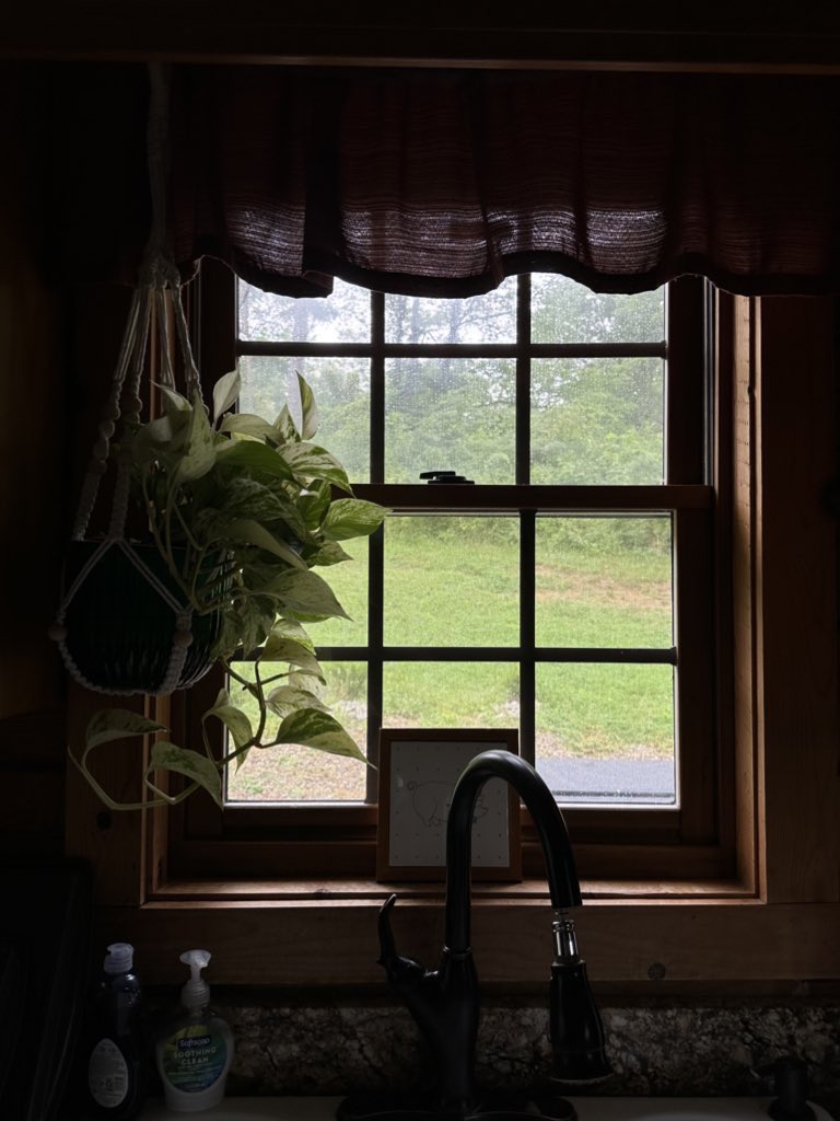 adorepoets's tweet image. hiiii booktwt &amp;lt;3 im looking for more #booktwt mutuals!! 

– my name is bee, she/her, 24 
 – favorite genres are fantasy, dystopian, coming of age, etc! 
– i also love gaming, music, and any form of media really :’)