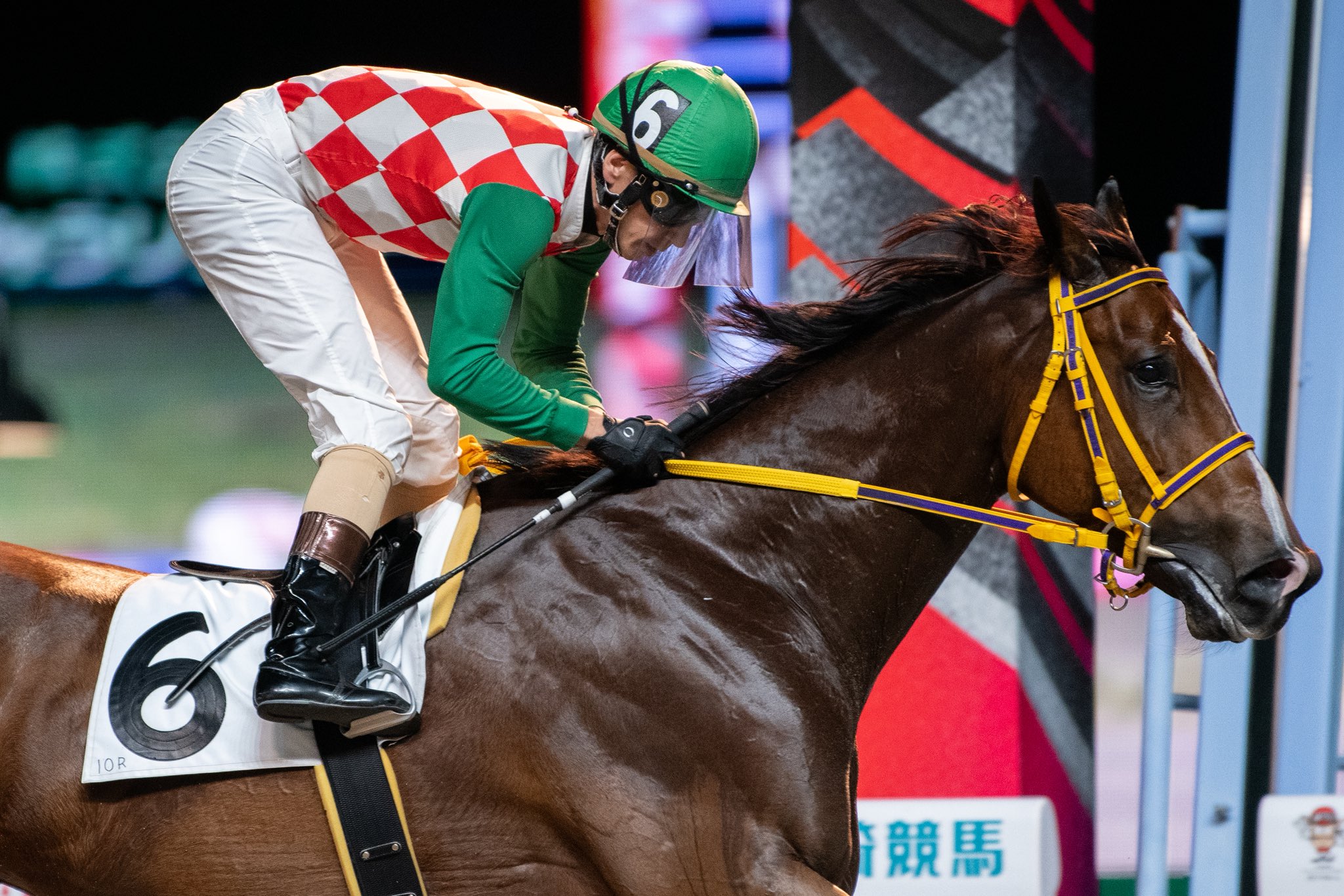 マグナムセイバープレミアム　矢野貴之騎手 マグナムセイバープレミアム矢野貴之騎手
