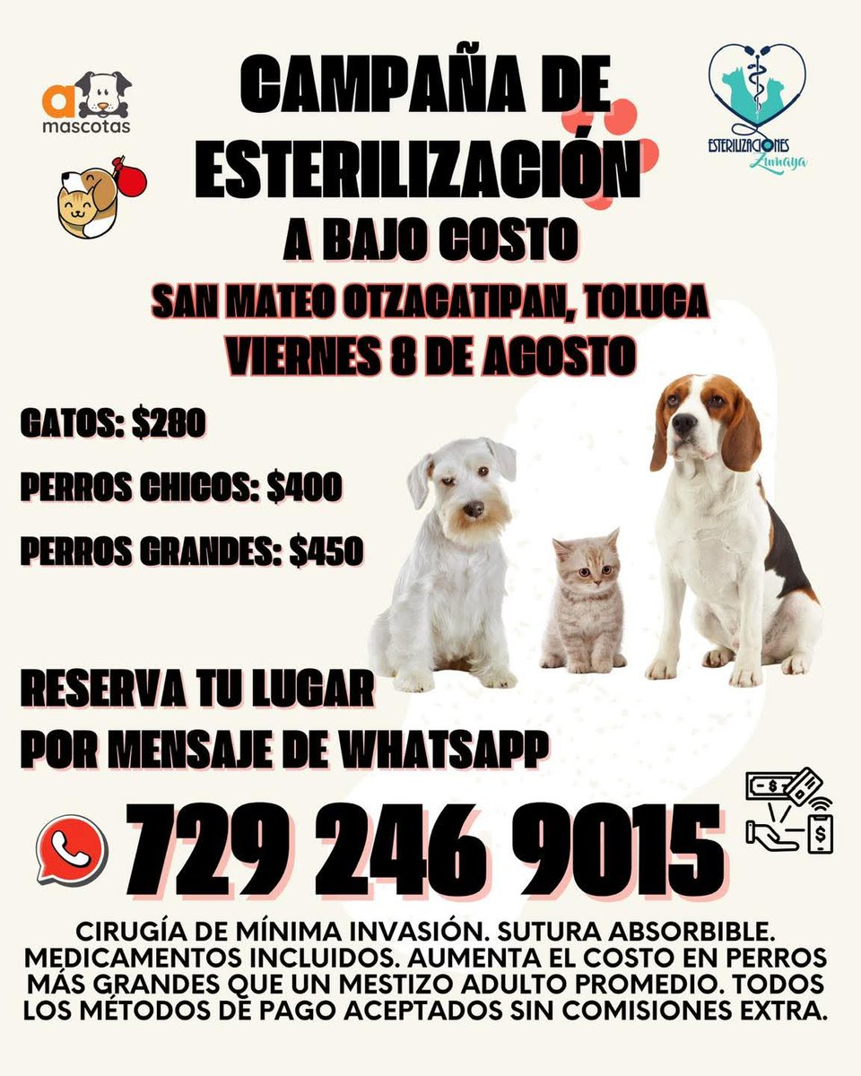 ¡Atención #Toluca!

Mañana viernes 8 de agosto hay campaña de esterilización de bajo costo. Es necesario reservar tu lugar. 

Info 👇🏻