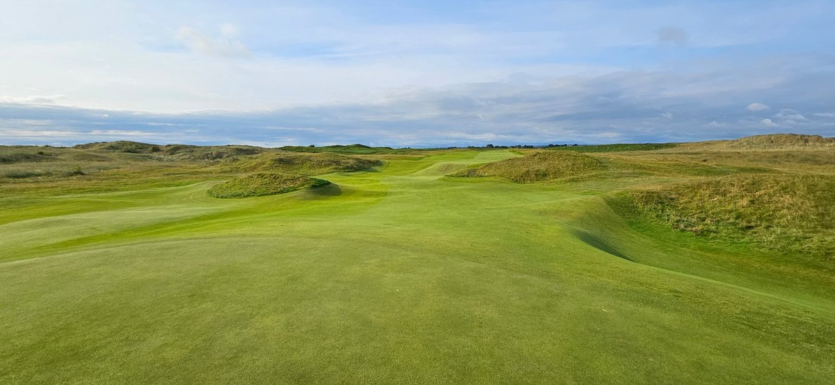 Wayne Murray tweet media