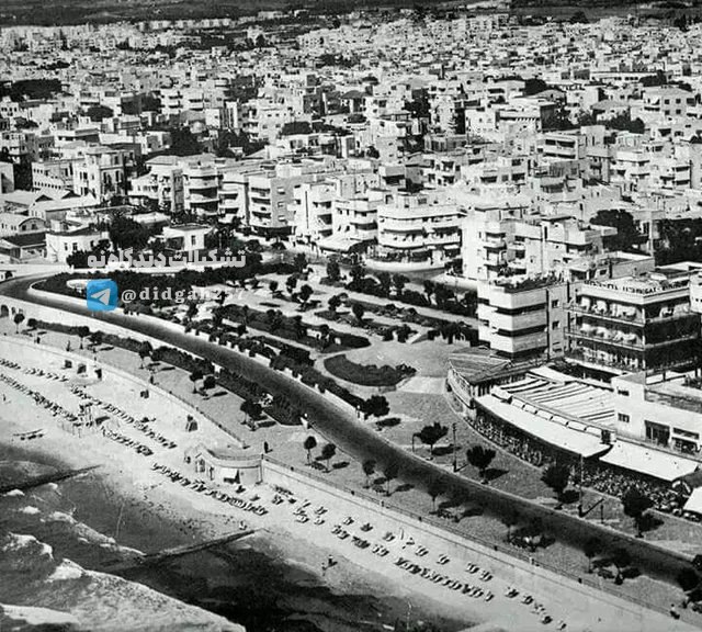 نمایی از شهر غزه در سال ۱۹۴۴ و قبل از تشکیل رژیم جعلی صگیونیستی!
هر جا قدم میذاره؛ ویرانی اون منطقه قطعیء))):
 
#اربعین_مقاومت