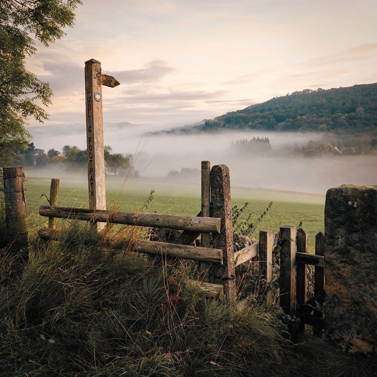 It happens so slowly at first, that creep from summer to autumn. 

A brush of gold within the green here and there, flecks where the sun has lingered longest on the leaves. 

Mists drifting over the fields and trees, with a hush that seems to soak up all sounds. 

And a little