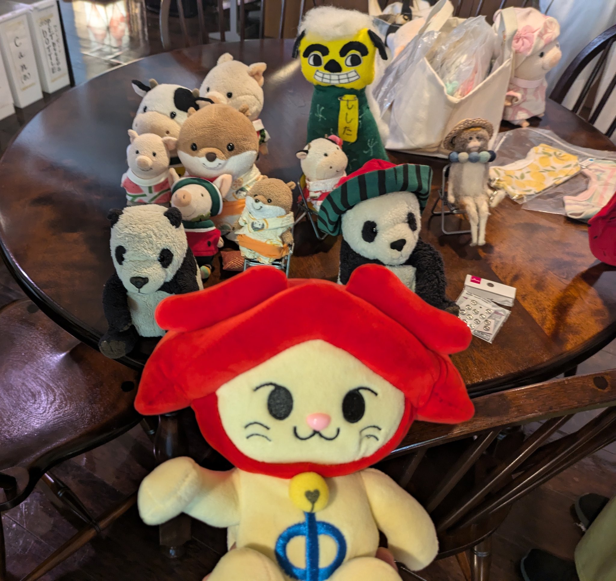 ビー🐝ちゃん 🍉💙💛 (@BradKicchi) / X