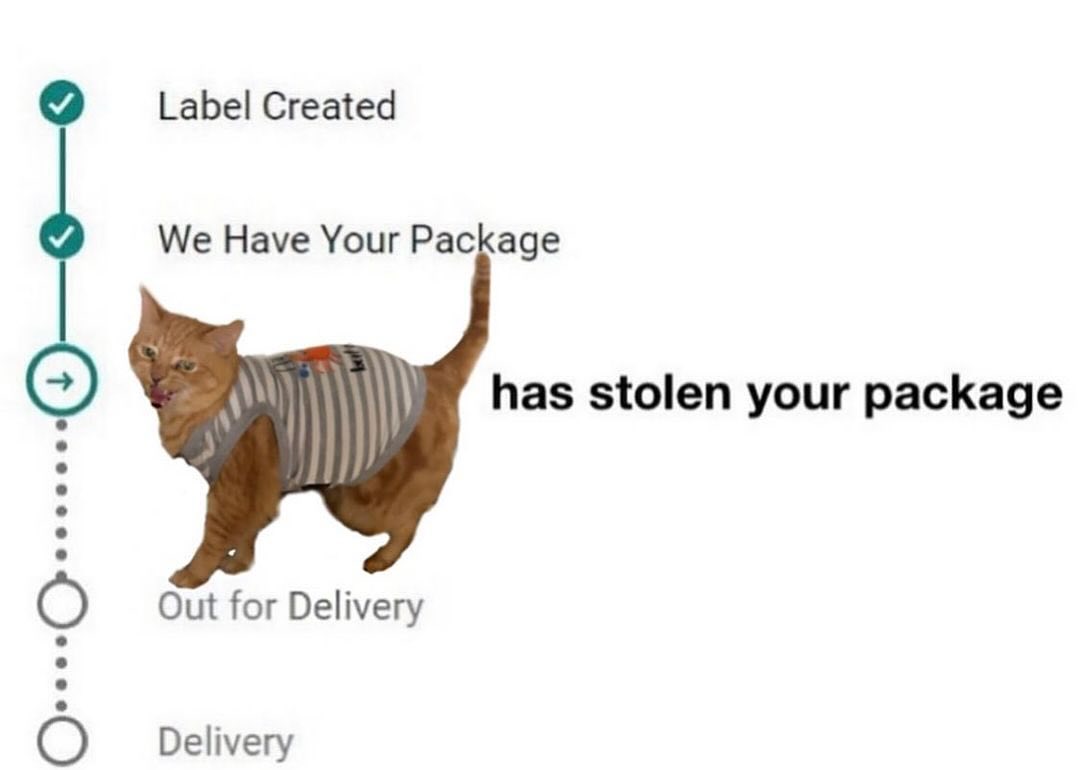 Punch Cat (@punchingcat) on Twitter photo 