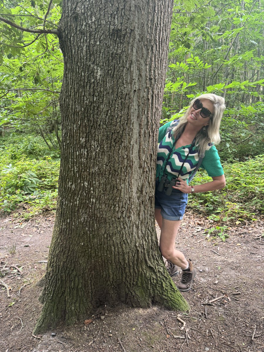 Nancy Sorrell tweet media