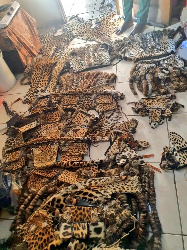 ZuluSweG's tweet image. Majongo I'm done mina ukuqopha manje wozanike nizolanda imvunulo yenu.