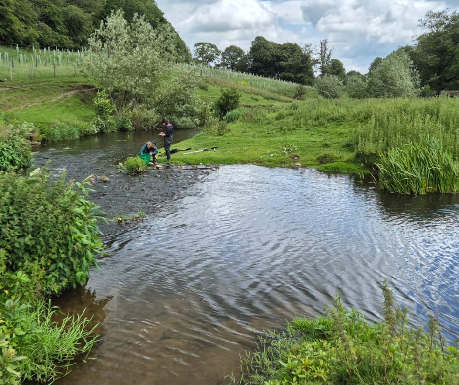 The Wild Trout Trust (@wildtrouttrust) on Twitter photo Our <a href="/ProfJGrey/">Jonathan Grey</a> has been busy surveying fish species in several Yorkshire rivers, teaching students about the value of long-term monitoring. By assessing fish populations before and after habitat enhancement works, we get a clearer picture of each project's impact π Our <a href="/ProfJGrey/">Jonathan Grey</a> has been busy surveying fish species in several Yorkshire rivers, teaching students about the value of long-term monitoring. By assessing fish populations before and after habitat enhancement works, we get a clearer picture of each project's impact π