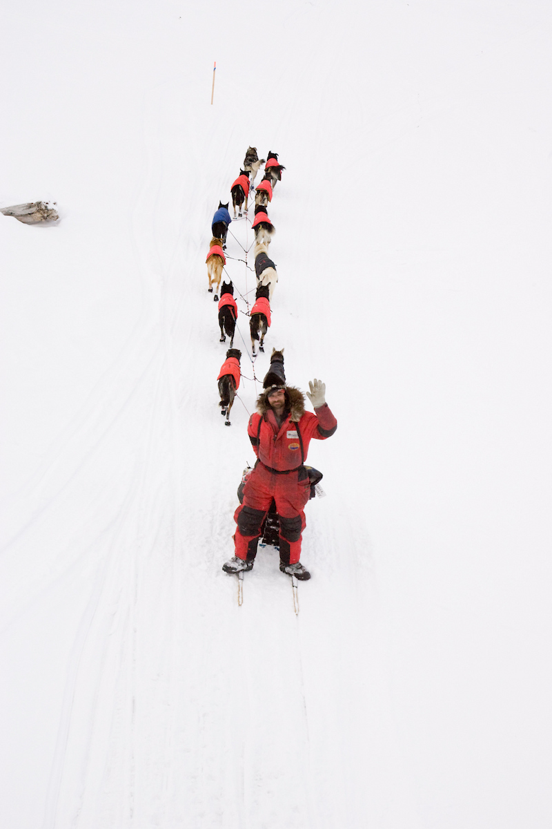 🐾 #Iditarod #ThrowbackThursday 🐾
Lance Mackey waving goodbye on the slough before leaving Unalakleet on Sunday evening of the 2008 Iditarod.  Mackey came in 1st place that year crossing under the Burled Arch in 9d 11h 46m 48s.

📷 @iditarodjeff | schultzphoto.com