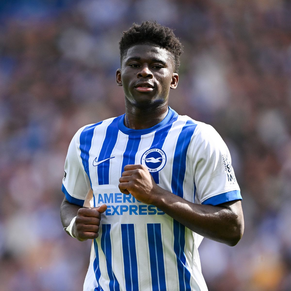 The United Stand tweet media