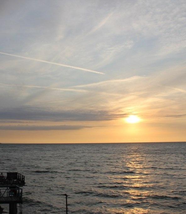 Катерина Галич tweet media