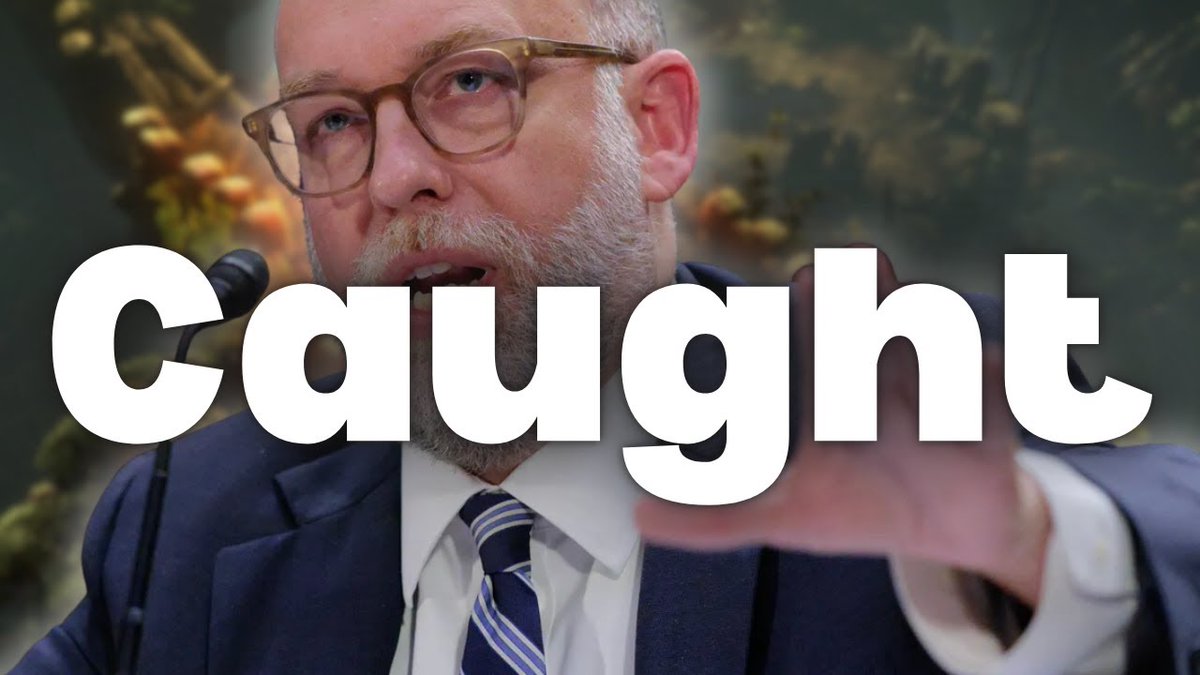 This Leaked Video Exposes The Truth About NSFW Censorship (full video below)