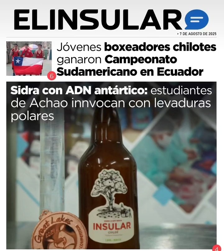 patymarchant's tweet photo. Sidra con manzana Chilotas y levaduras Antárticas https://t.co/IWGydvojsD