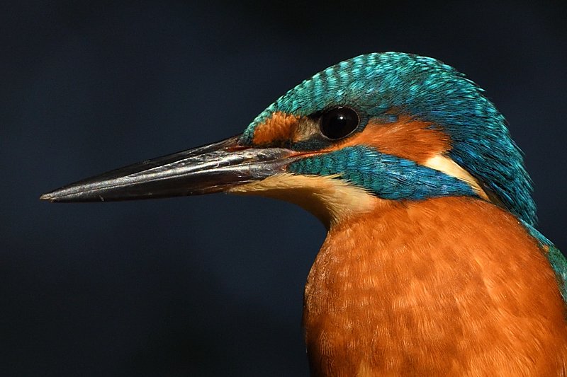 Fijne avond nog en voor straks lekker slapen 🙋🏻‍♂️😴🍀